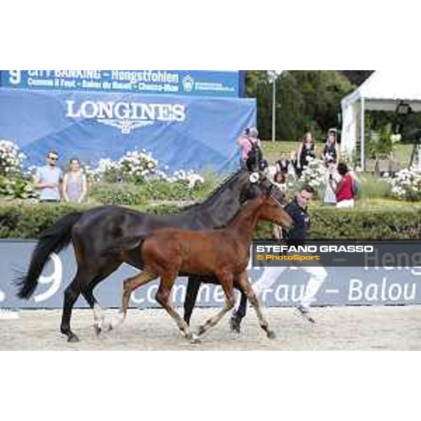 LGCT of Berlin - Foal Presentation - Berlin, Sommergarten, 27 July 2018 - ph.Stefano Grasso/LGCT