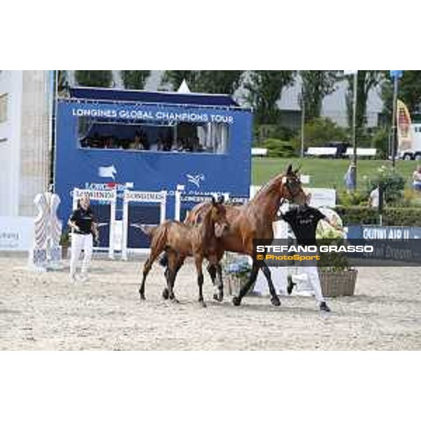 LGCT of Berlin - Foal Presentation - Berlin, Sommergarten, 27 July 2018 - ph.Stefano Grasso/LGCT