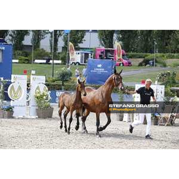 LGCT of Berlin - Foal Presentation - Berlin, Sommergarten, 27 July 2018 - ph.Stefano Grasso/LGCT