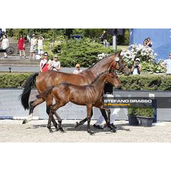 LGCT of Berlin - Foal Presentation - Berlin, Sommergarten, 27 July 2018 - ph.Stefano Grasso/LGCT