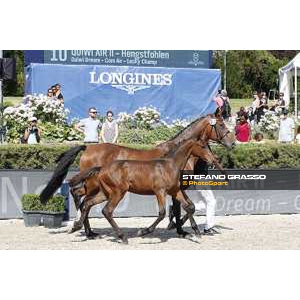 LGCT of Berlin - Foal Presentation - Berlin, Sommergarten, 27 July 2018 - ph.Stefano Grasso/LGCT