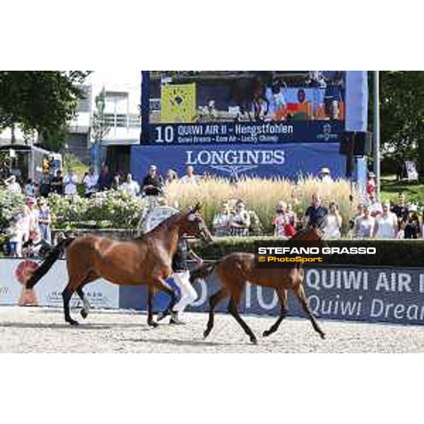 LGCT of Berlin - Foal Presentation - Berlin, Sommergarten, 27 July 2018 - ph.Stefano Grasso/LGCT