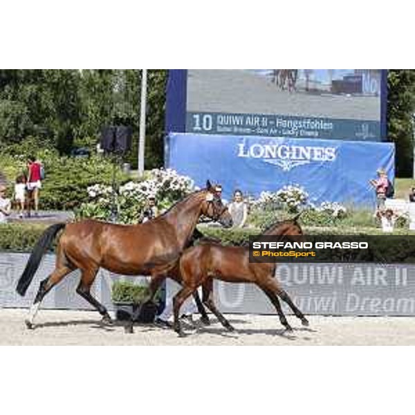 LGCT of Berlin - Foal Presentation - Berlin, Sommergarten, 27 July 2018 - ph.Stefano Grasso/LGCT