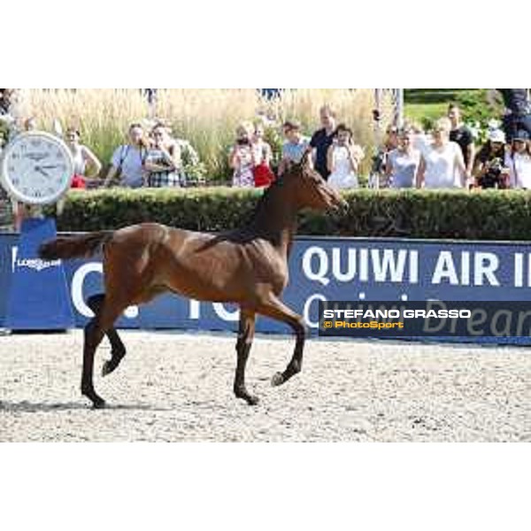 LGCT of Berlin - Foal Presentation - Berlin, Sommergarten, 27 July 2018 - ph.Stefano Grasso/LGCT