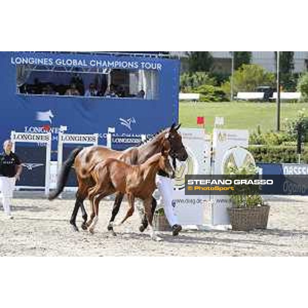 LGCT of Berlin - Foal Presentation - Berlin, Sommergarten, 27 July 2018 - ph.Stefano Grasso/LGCT