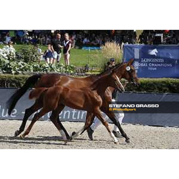 LGCT of Berlin - Foal Presentation - Berlin, Sommergarten, 27 July 2018 - ph.Stefano Grasso/LGCT