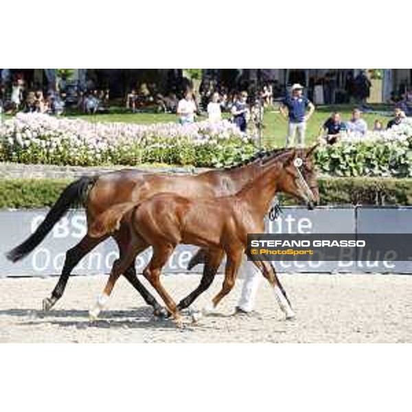 LGCT of Berlin - Foal Presentation - Berlin, Sommergarten, 27 July 2018 - ph.Stefano Grasso/LGCT