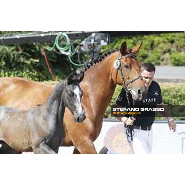 LGCT of Berlin - Foal Presentation - Berlin, Sommergarten, 27 July 2018 - ph.Stefano Grasso/LGCT
