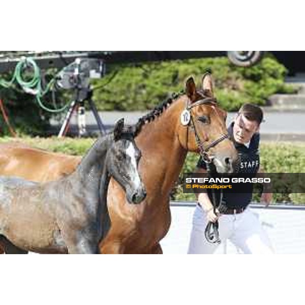 LGCT of Berlin - Foal Presentation - Berlin, Sommergarten, 27 July 2018 - ph.Stefano Grasso/LGCT