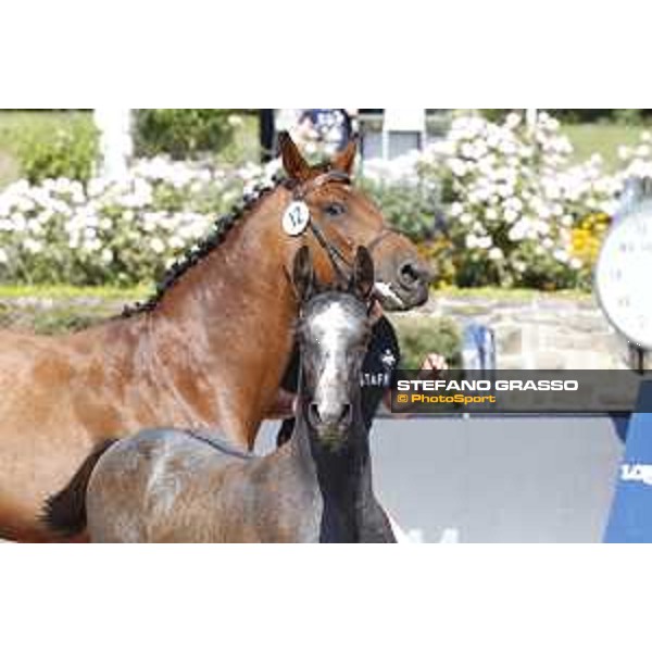 LGCT of Berlin - Foal Presentation - Berlin, Sommergarten, 27 July 2018 - ph.Stefano Grasso/LGCT