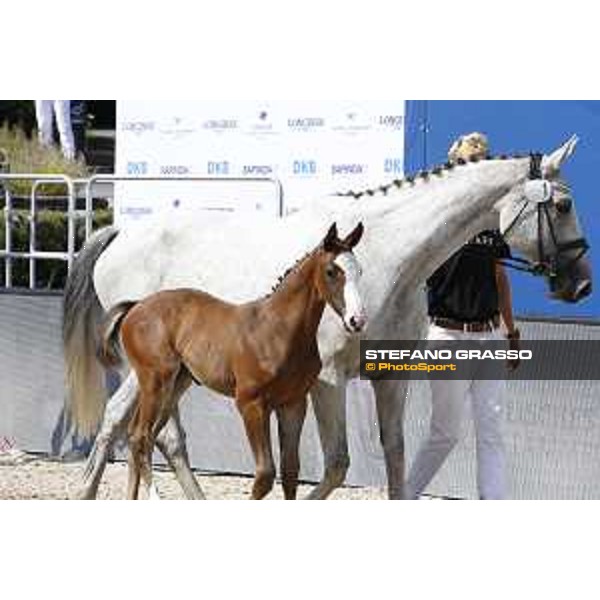 LGCT of Berlin - Foal Presentation - Berlin, Sommergarten, 28 July 2018 - ph.Stefano Grasso/LGCT