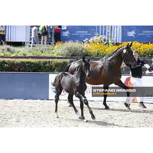 LGCT of Berlin - Foal Presentation - Berlin, Sommergarten, 28 July 2018 - ph.Stefano Grasso/LGCT