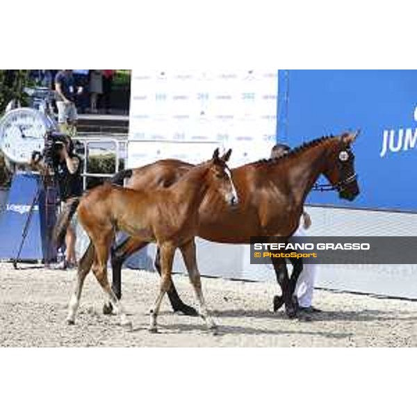 LGCT of Berlin - Foal Presentation - Berlin, Sommergarten, 28 July 2018 - ph.Stefano Grasso/LGCT