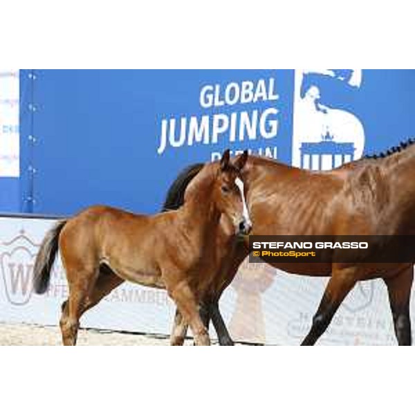 LGCT of Berlin - Foal Presentation - Berlin, Sommergarten, 28 July 2018 - ph.Stefano Grasso/LGCT