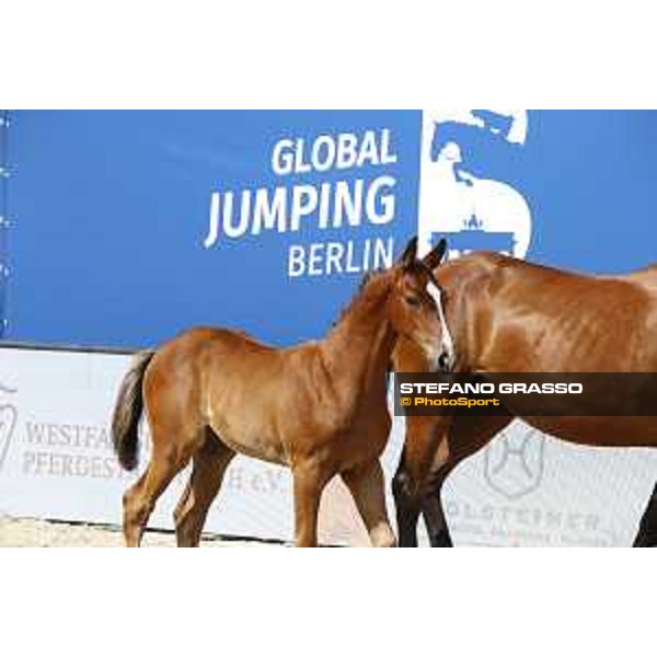 LGCT of Berlin - Foal Presentation - Berlin, Sommergarten, 28 July 2018 - ph.Stefano Grasso/LGCT
