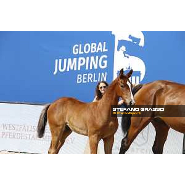 LGCT of Berlin - Foal Presentation - Berlin, Sommergarten, 28 July 2018 - ph.Stefano Grasso/LGCT