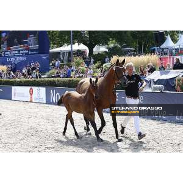 LGCT of Berlin - Foal Presentation - Berlin, Sommergarten, 28 July 2018 - ph.Stefano Grasso/LGCT