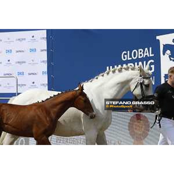 LGCT of Berlin - Foal Presentation - Berlin, Sommergarten, 28 July 2018 - ph.Stefano Grasso/LGCT