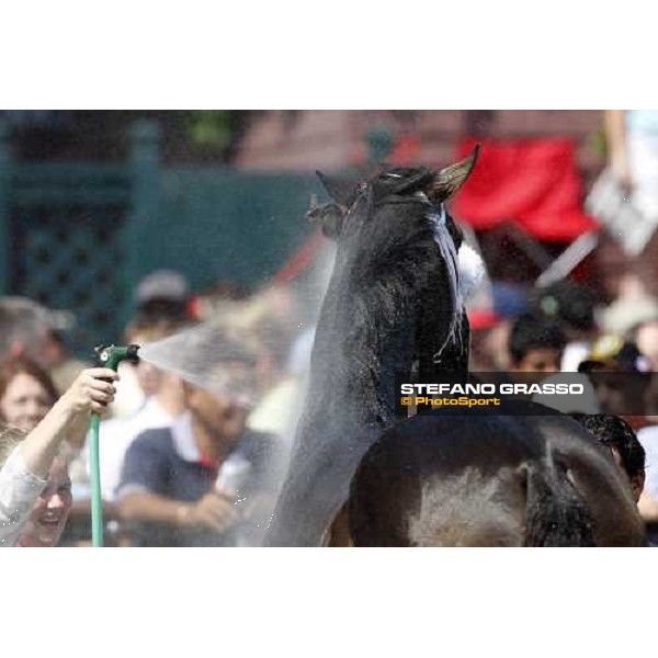 a shower after the race Saratoga, 23rd august 2008 ph. Stefano Grasso