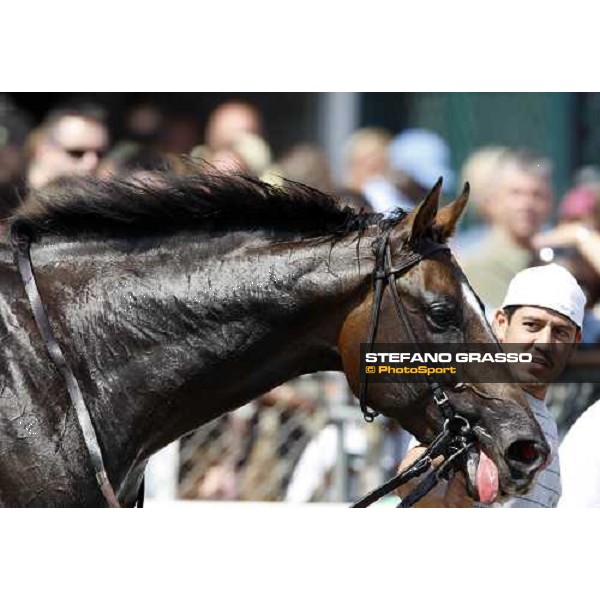 coming back to the stable after wining the race Saratoga, 23rd august 2008 ph. Stefano Grasso