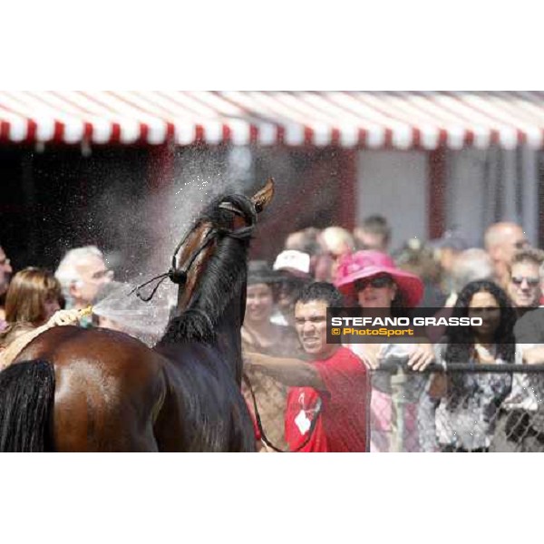 a shower after the race Saratoga, 23rd august 2008 ph. Stefano Grasso