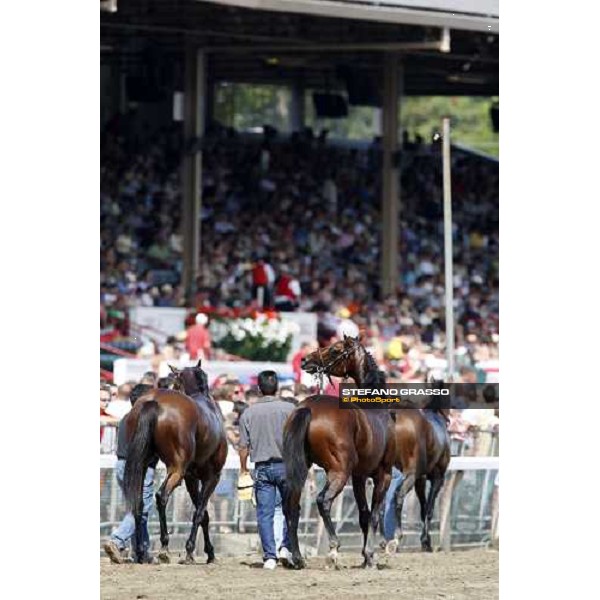 horses come back to the stable after the race Saratoga, 23rd august 2008 ph. Stefano Grasso