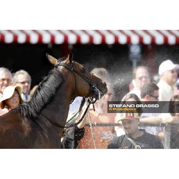 a shower after the race Saratoga, 23rd august 2008 ph. Stefano Grasso