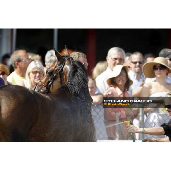 a shower after the race Saratoga, 23rd august 2008 ph. Stefano Grasso