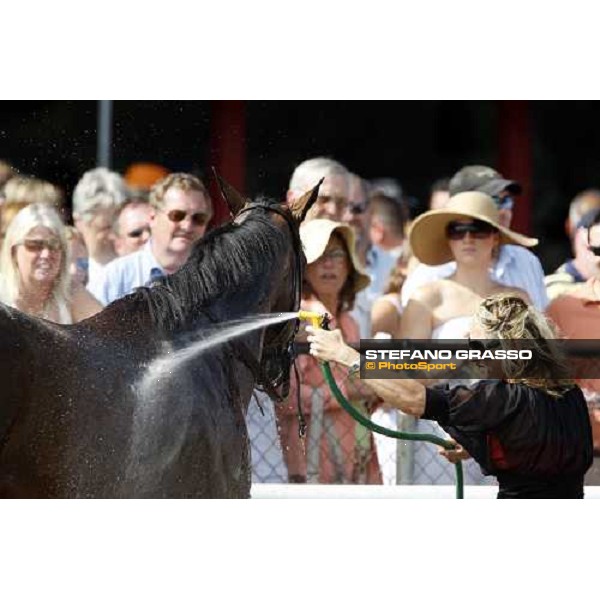 a shower after the race Saratoga, 23rd august 2008 ph. Stefano Grasso
