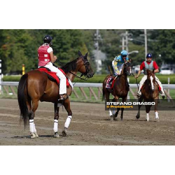 horses parading before the race Saratoga, 23rd august 2008 ph. Stefano Grasso