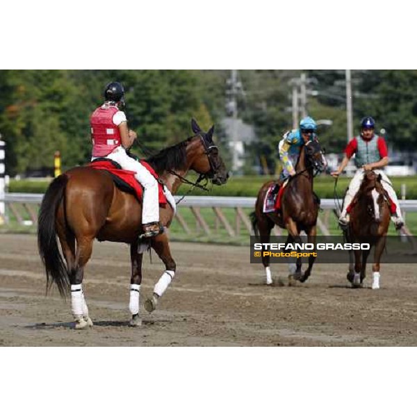 horses parading before the race Saratoga, 23rd august 2008 ph. Stefano Grasso