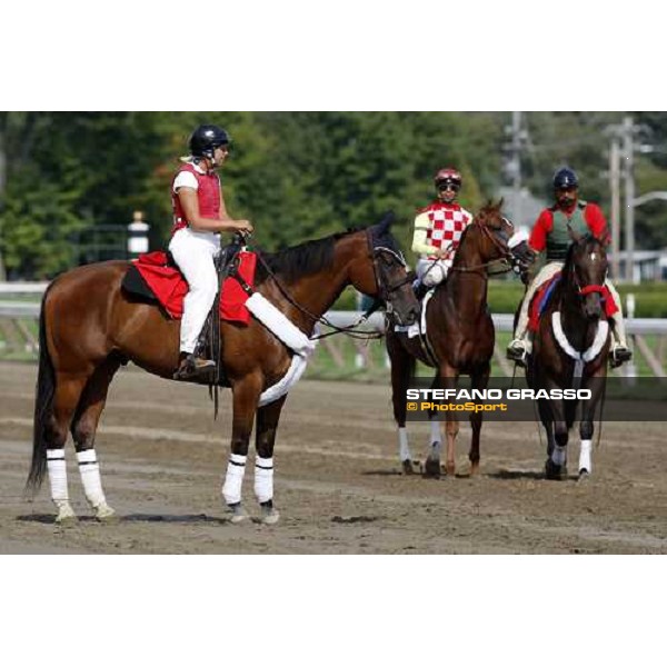 horses parading before the race Saratoga, 23rd august 2008 ph. Stefano Grasso