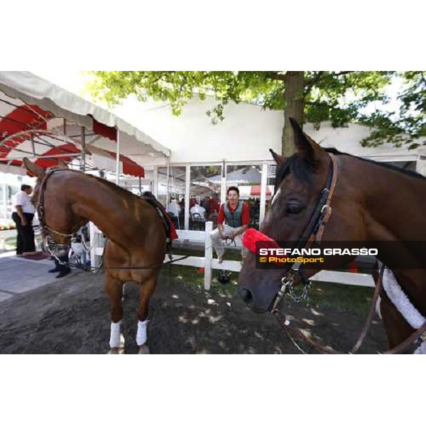 ponies at Saratoga racetrack Saratoga, 22nd august 2008 ph. Stefano Grasso