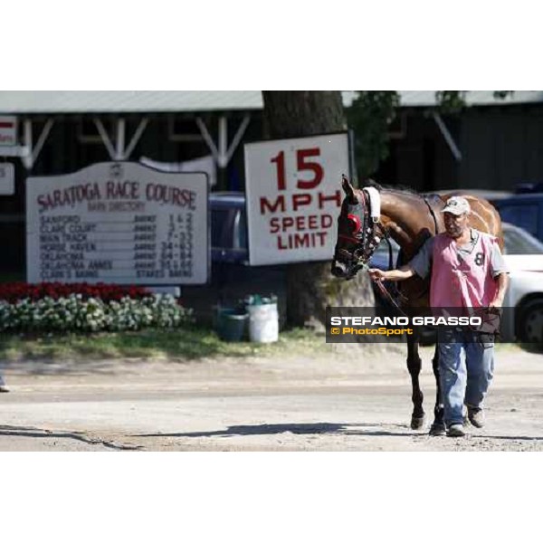 going to the paddock at Saratoga racetrack Saratoga, 22nd august 2008 ph. Stefano Grasso