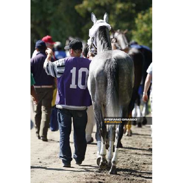 going to the paddock at Saratoga racetrack Saratoga, 22nd august 2008 ph. Stefano Grasso