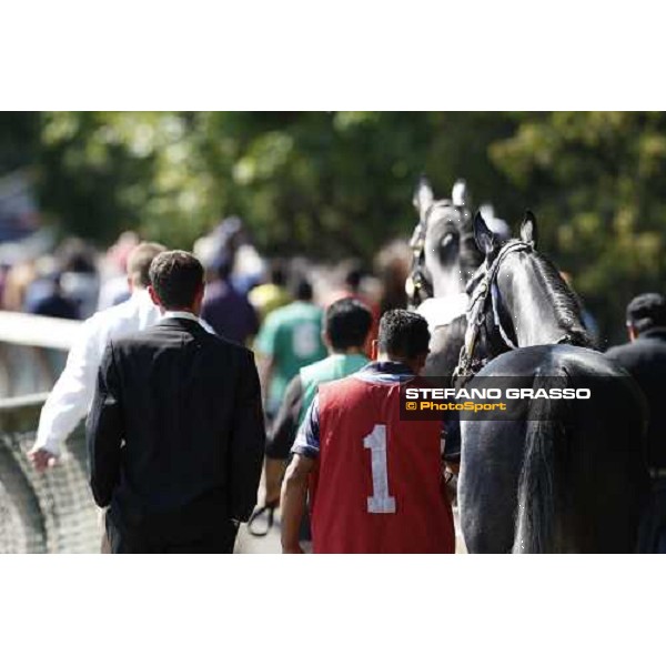 going to the paddock at Saratoga racetrack Saratoga, 22nd august 2008 ph. Stefano Grasso