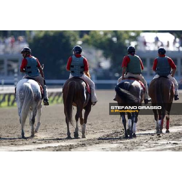 ponies at Saratoga racetrack Saratoga, 22nd august 2008 ph. Stefano Grasso