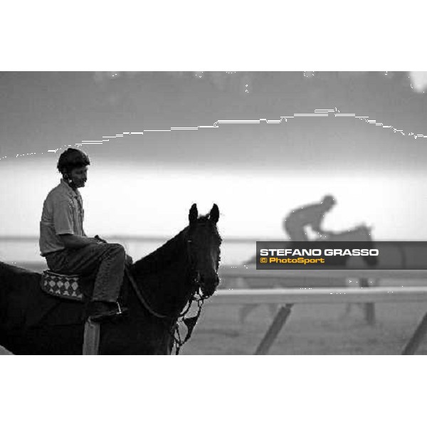 morning worksout at Oklahoma training track Saratoga, 23rd august 2008 ph. Stefano Grasso