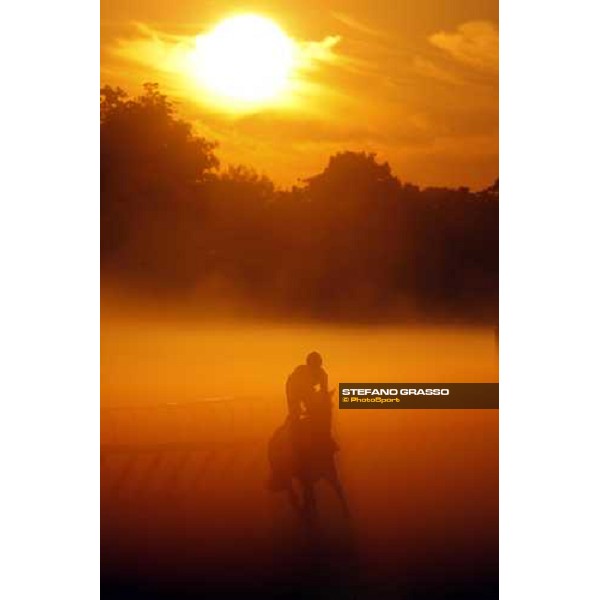 morning worksout at Oklahoma training track Saratoga, 23rd august 2008 ph. Stefano Grasso