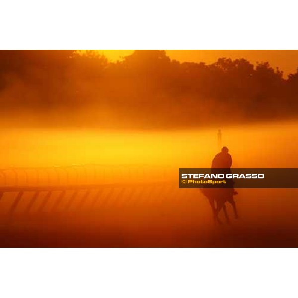 morning worksout at Oklahoma training track Saratoga, 23rd august 2008 ph. Stefano Grasso