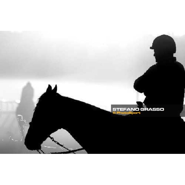 morning worksout at Oklahoma training track Saratoga, 23rd august 2008 ph. Stefano Grasso