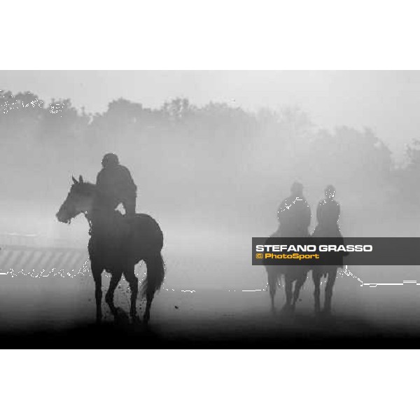 morning worksout at Oklahoma training track Saratoga, 23rd august 2008 ph. Stefano Grasso