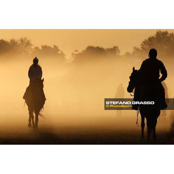 morning worksout at Oklahoma training track Saratoga, 23rd august 2008 ph. Stefano Grasso