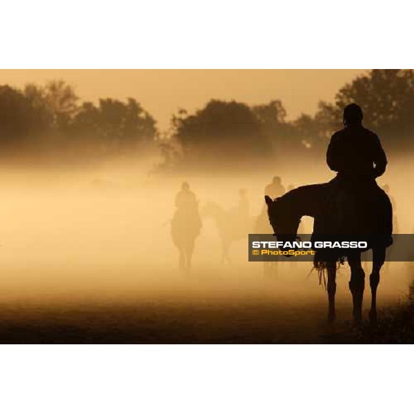 morning worksout at Oklahoma training track Saratoga, 23rd august 2008 ph. Stefano Grasso