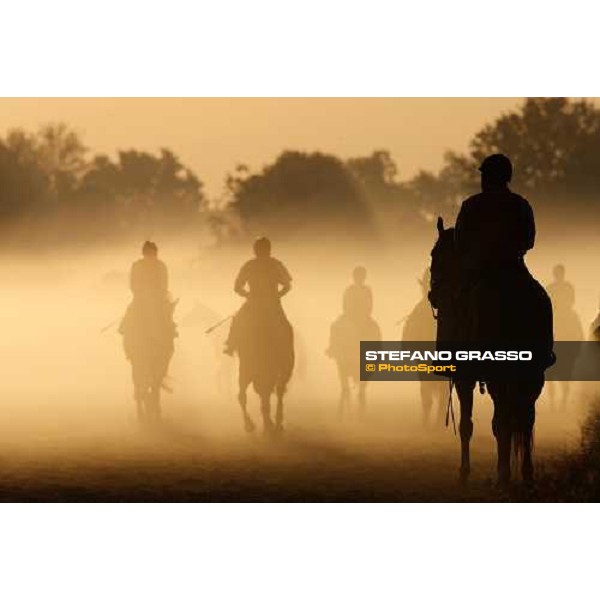 morning worksout at Oklahoma training track Saratoga, 23rd august 2008 ph. Stefano Grasso