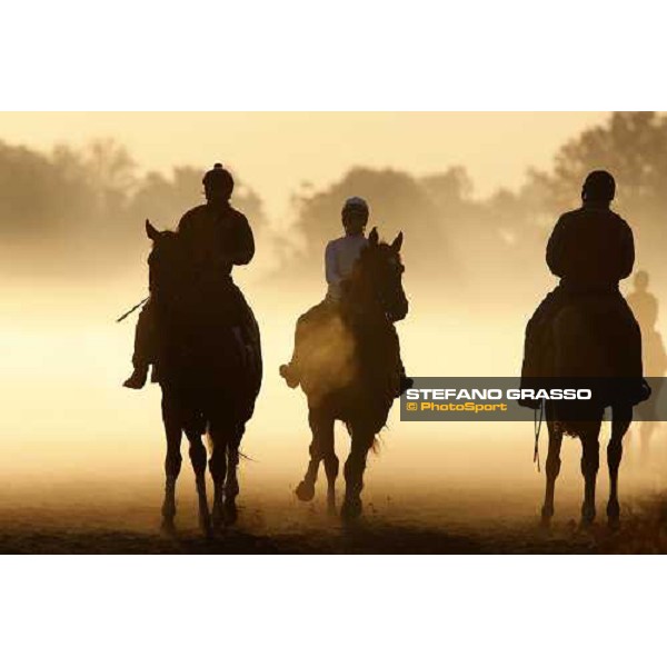 morning worksout at Oklahoma training track Saratoga, 23rd august 2008 ph. Stefano Grasso