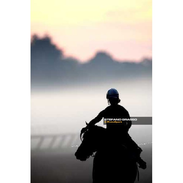 morning worksout at Oklahoma training track Saratoga, 23rd august 2008 ph. Stefano Grasso