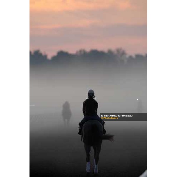 morning worksout at Oklahoma training track Saratoga, 23rd august 2008 ph. Stefano Grasso