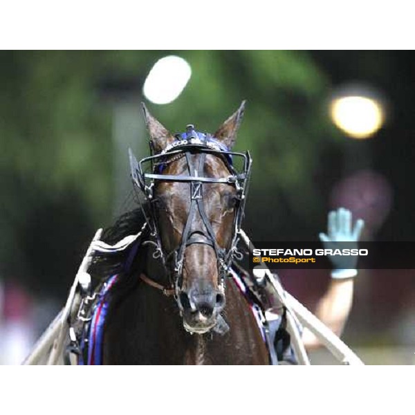Enrico Bellei with Ghiaccio del Nord thanks the racegoers after winning the 1st heat of Campionato Europeo 2008 Cesena, 6th september 2008 ph. Stefano Grasso