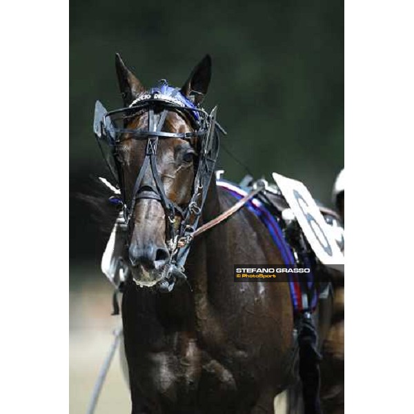 a close up for Ghiaccio del Nord thanks after winning the 1st heat of Campionato Europeo 2008 Cesena, 6th september 2008 ph. Stefano Grasso